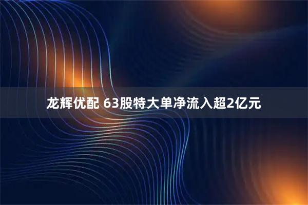 龙辉优配 63股特大单净流入超2亿元